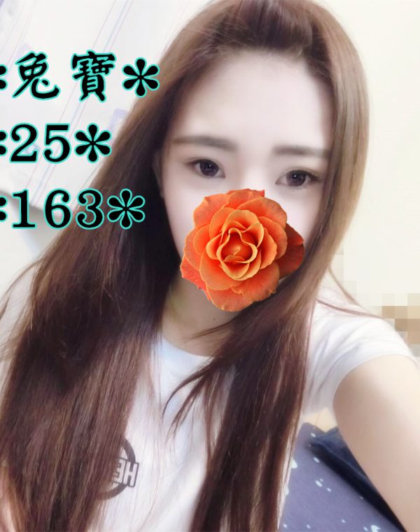 兔寶